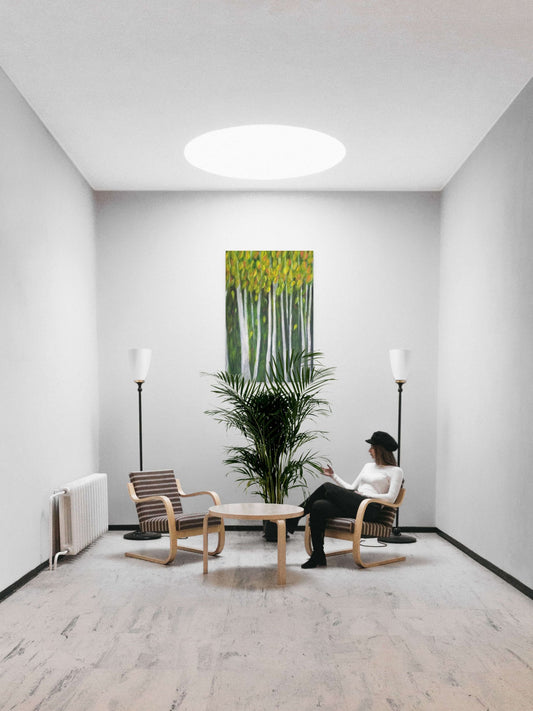 Birch Trees in the Forest - Canvas Print