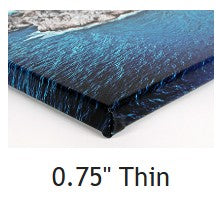 The Watcher - Canvas Print